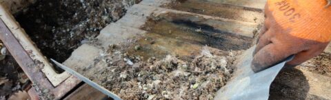 <h2>Pigeon Guano Removal & Cleaning Services</h2>