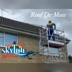 Whats Eating Your Roof?