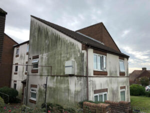 Algae and mould growing building